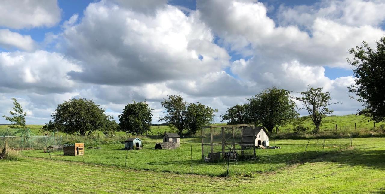 Llys Onnen - North Wales Holiday Cottage Mold Exterior foto